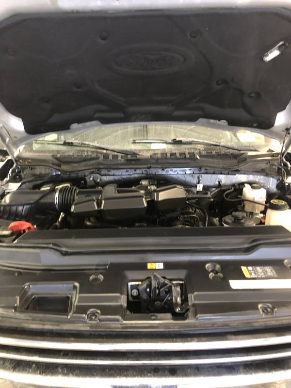 Mobile engine bay cleaning in Charlotte, NC: Ford truck engine bay with clean covers, hoses, and reservoirs